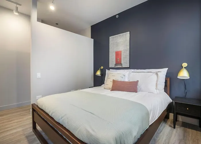 Loop 1br Wgym Roofdeck Wd Nr W Loop The L Chi-200 Apartment Chicago