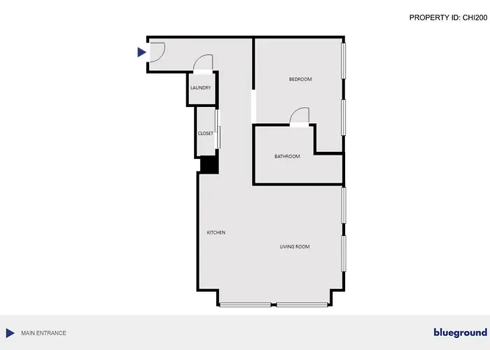 Loop 1br Wgym Roofdeck Wd Nr W Loop The L Chi-200 Apartment
