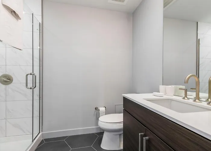 Apartment Loop 1br Wgym Roofdeck Wd Nr W Loop The L Chi-200 Chicago
