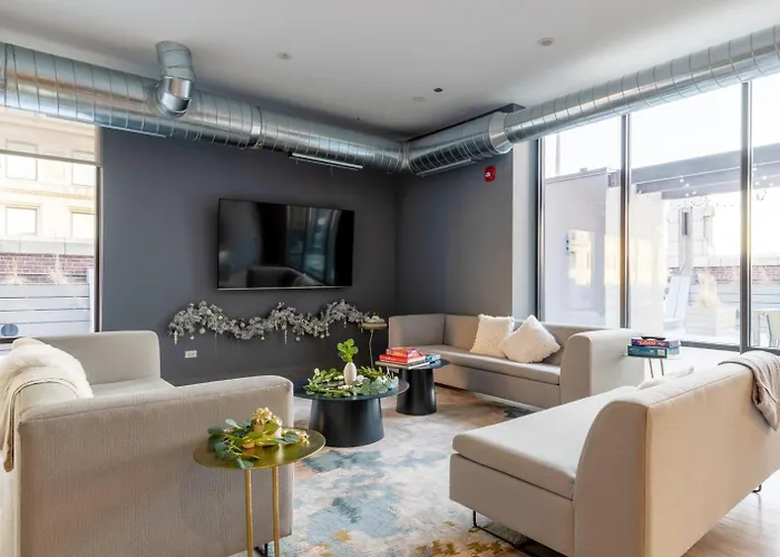 Loop 1br Wgym Roofdeck Wd Nr W Loop The L Chi-200 Apartment